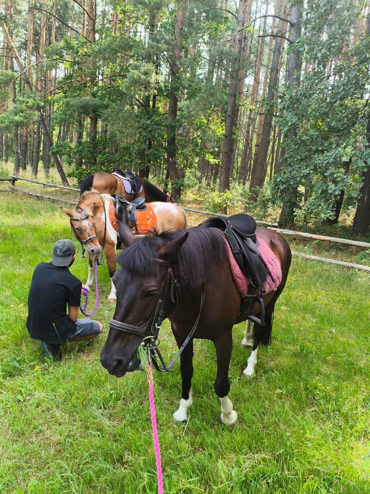 Fotorelacja z kolonii i półkolonii 2026 - zdjęcie 19