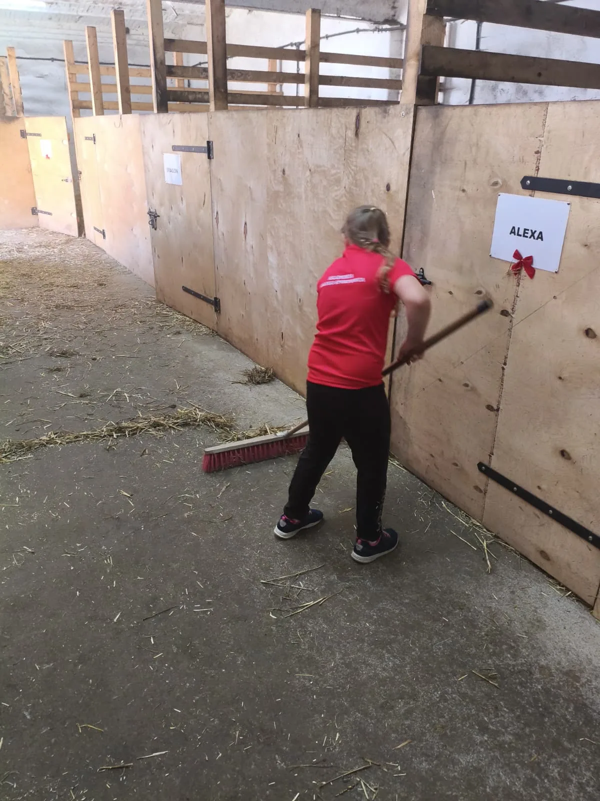 Fotorelacja z kolonii i półkolonii 2026 - zdjęcie 21