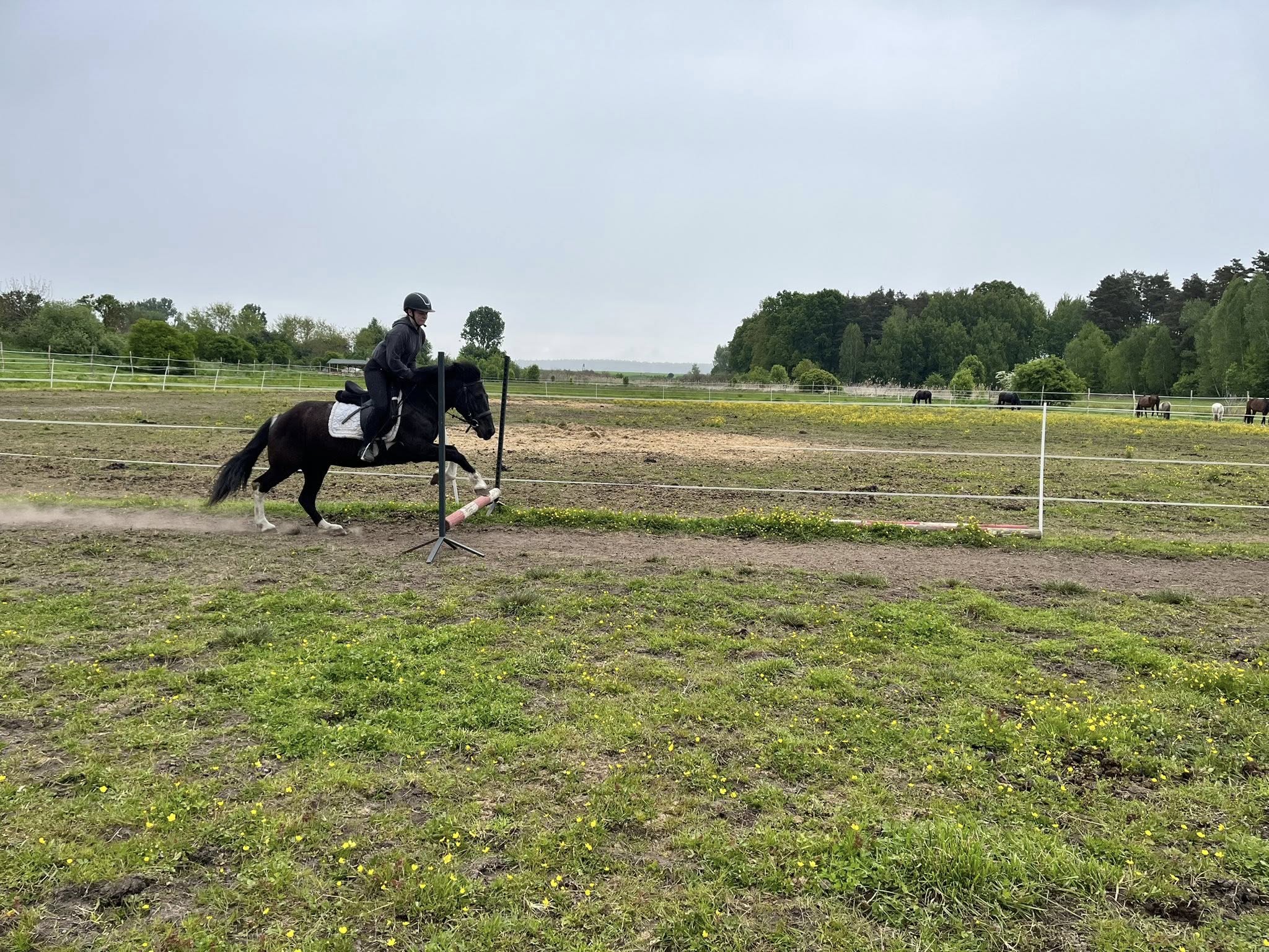 Sezon pastwiskowy rozpoczęty