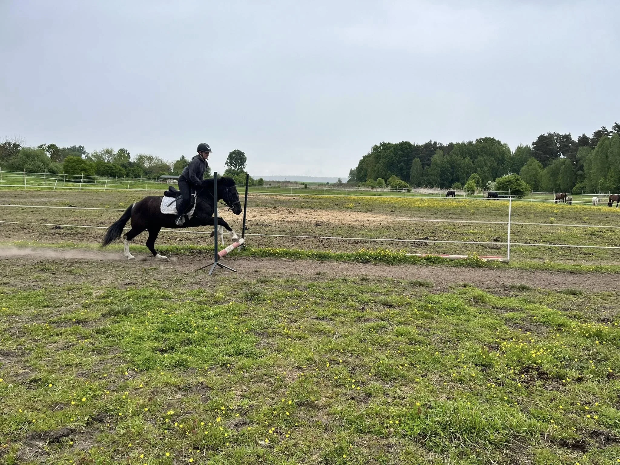 Sezon pastwiskowy rozpoczęty