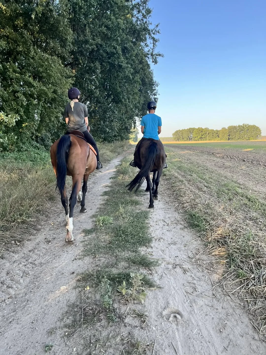 Pierwszy spacer Agawy