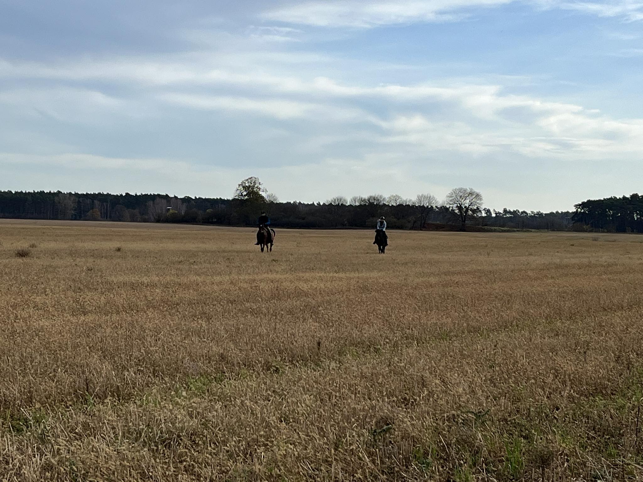 Teren 14 października