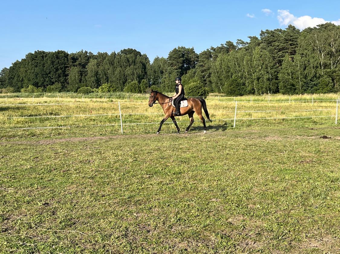 Dzień z koniem w Stajni Decyma