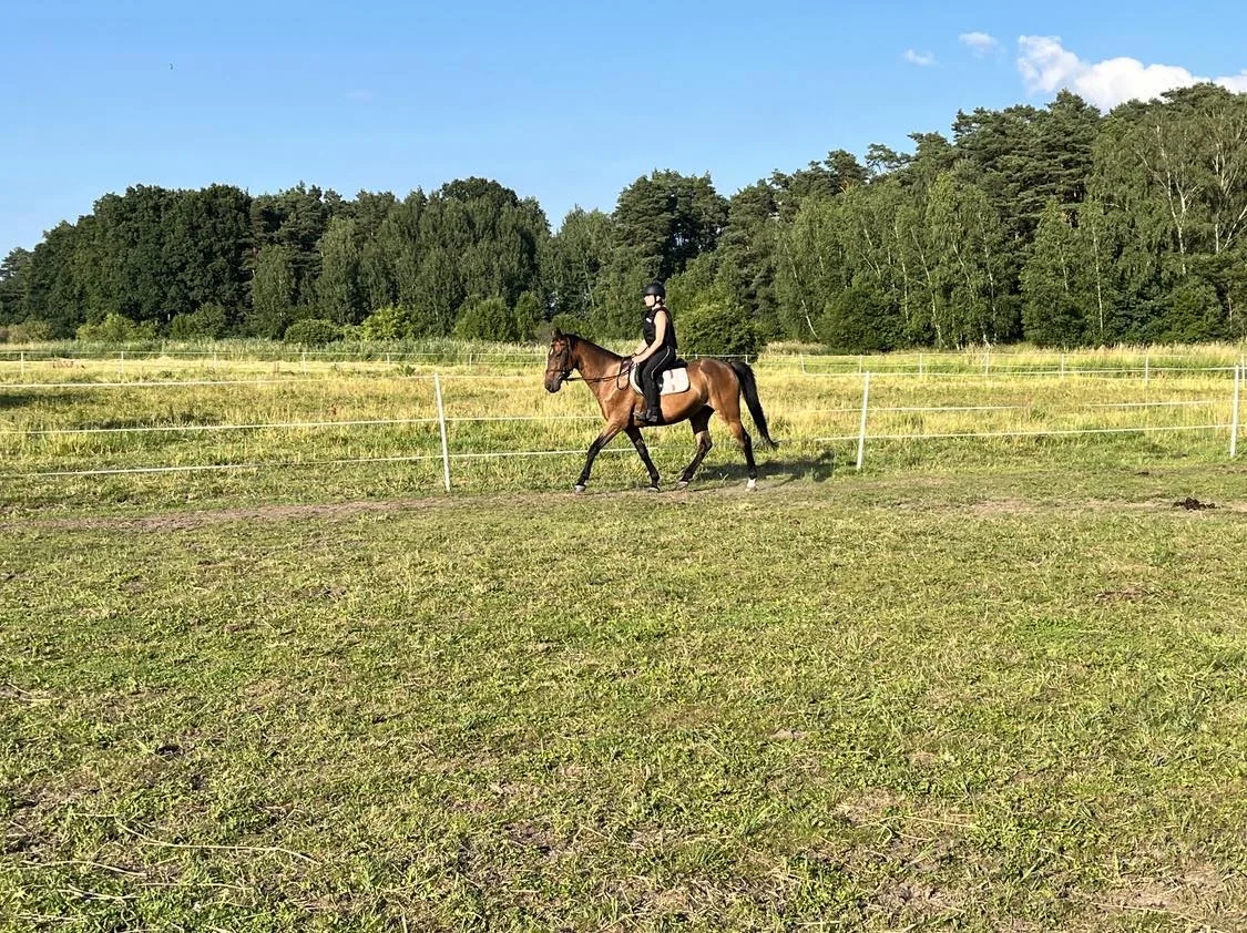Dzień z koniem w Stajni Decyma