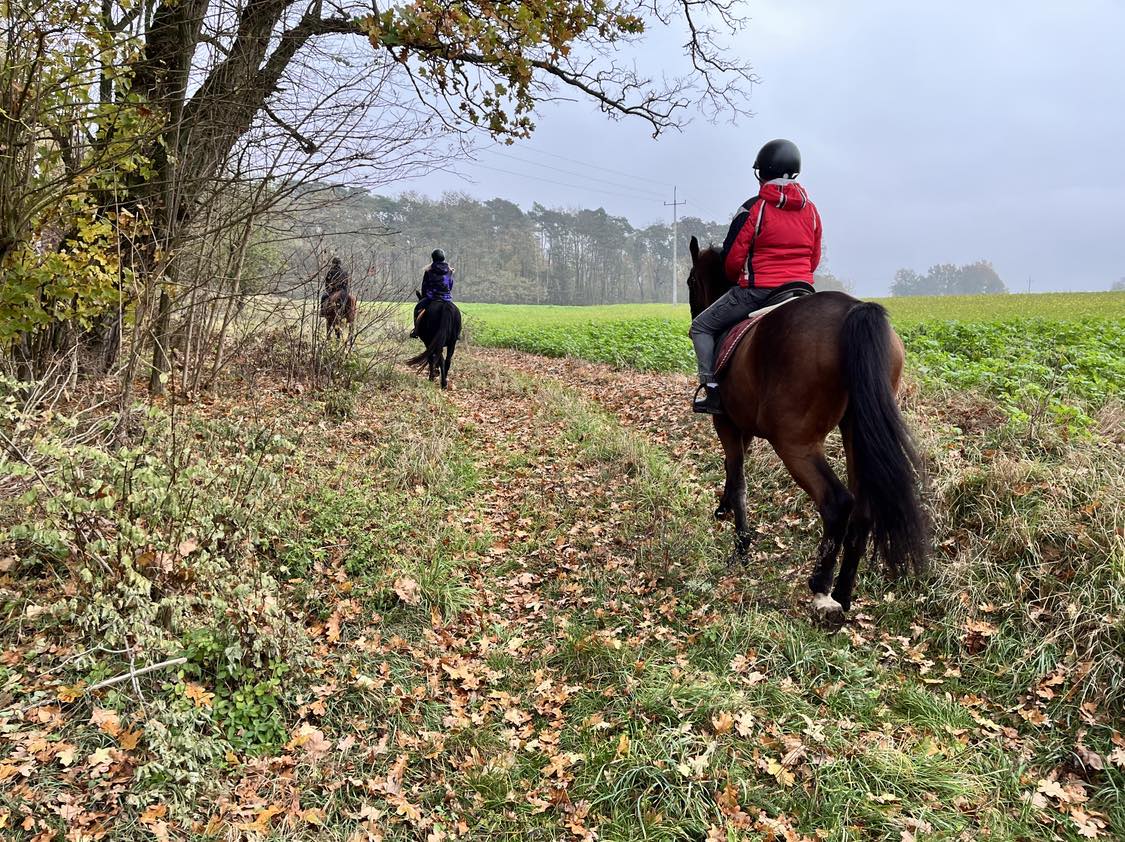 Plany na ferie zimowe