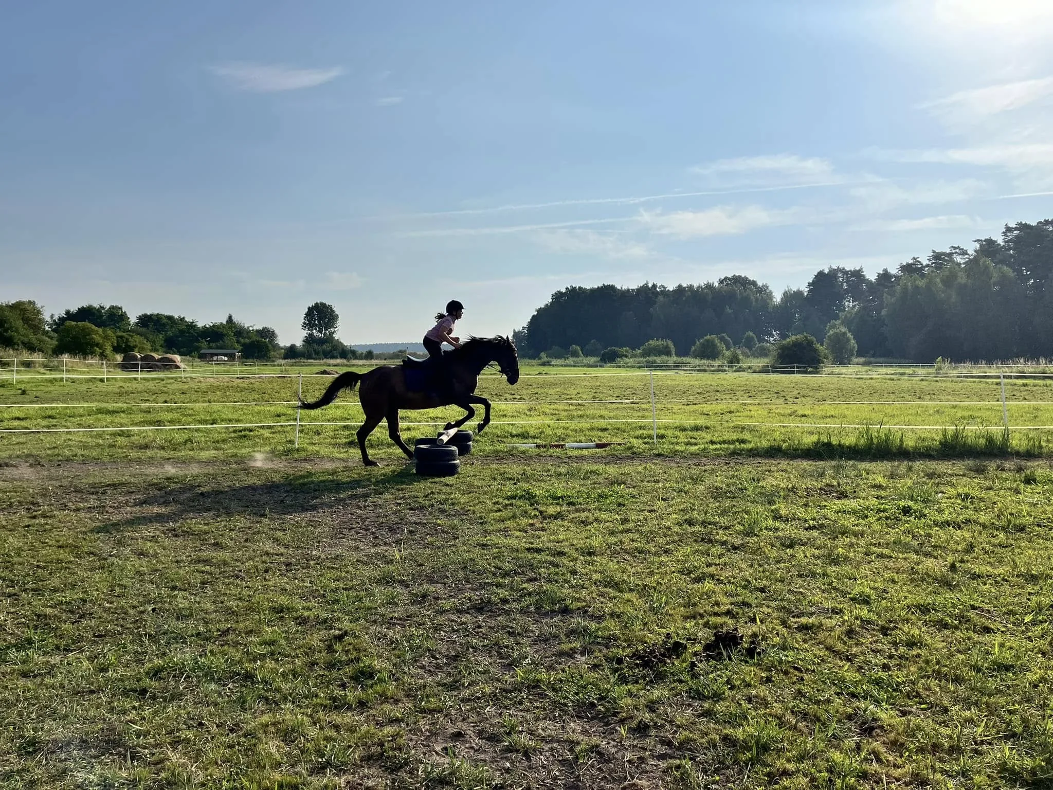 Rada na upalny dzień