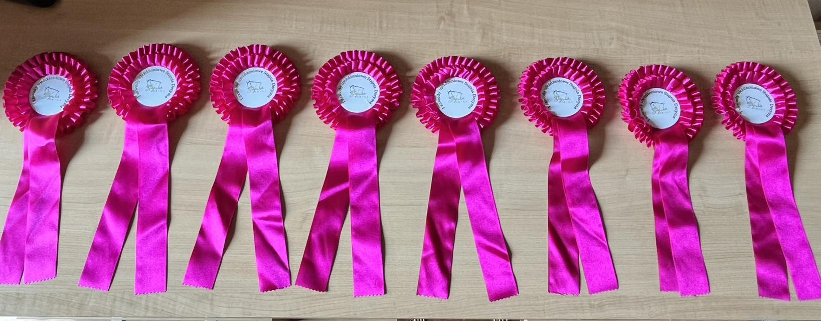 Przygotowanie do zawodów