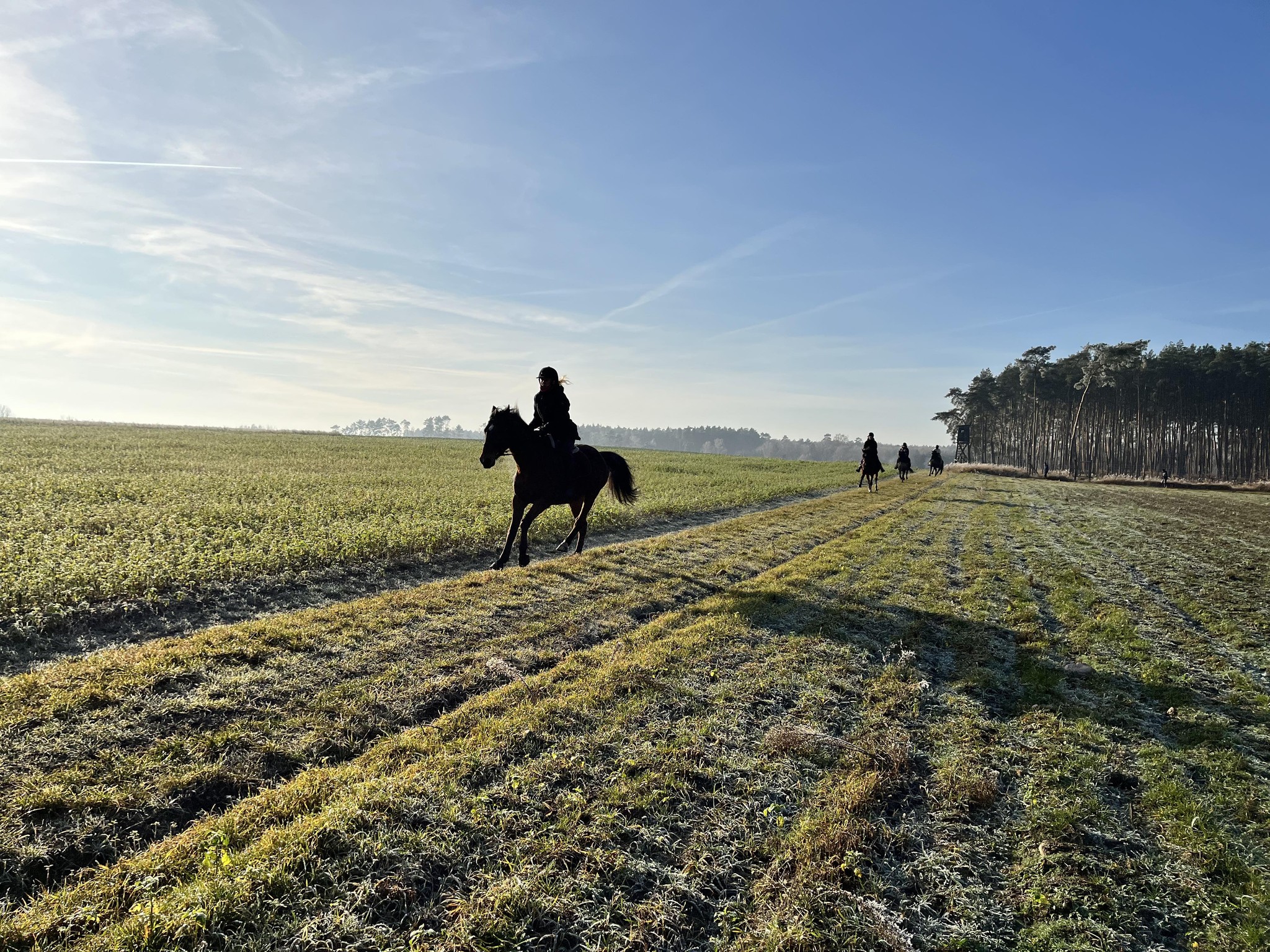 Noworoczne życzenia