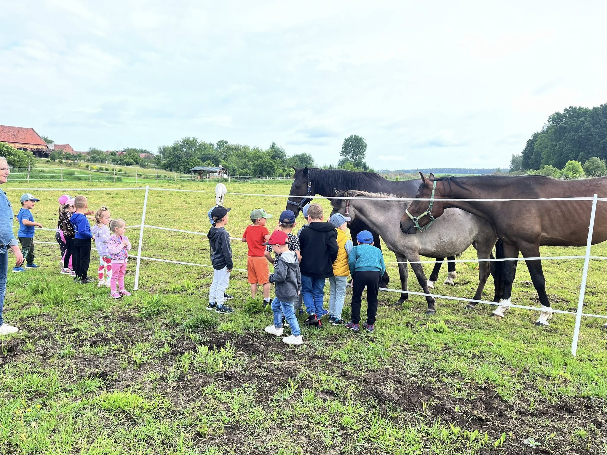 Dzień Dziecka w stajni