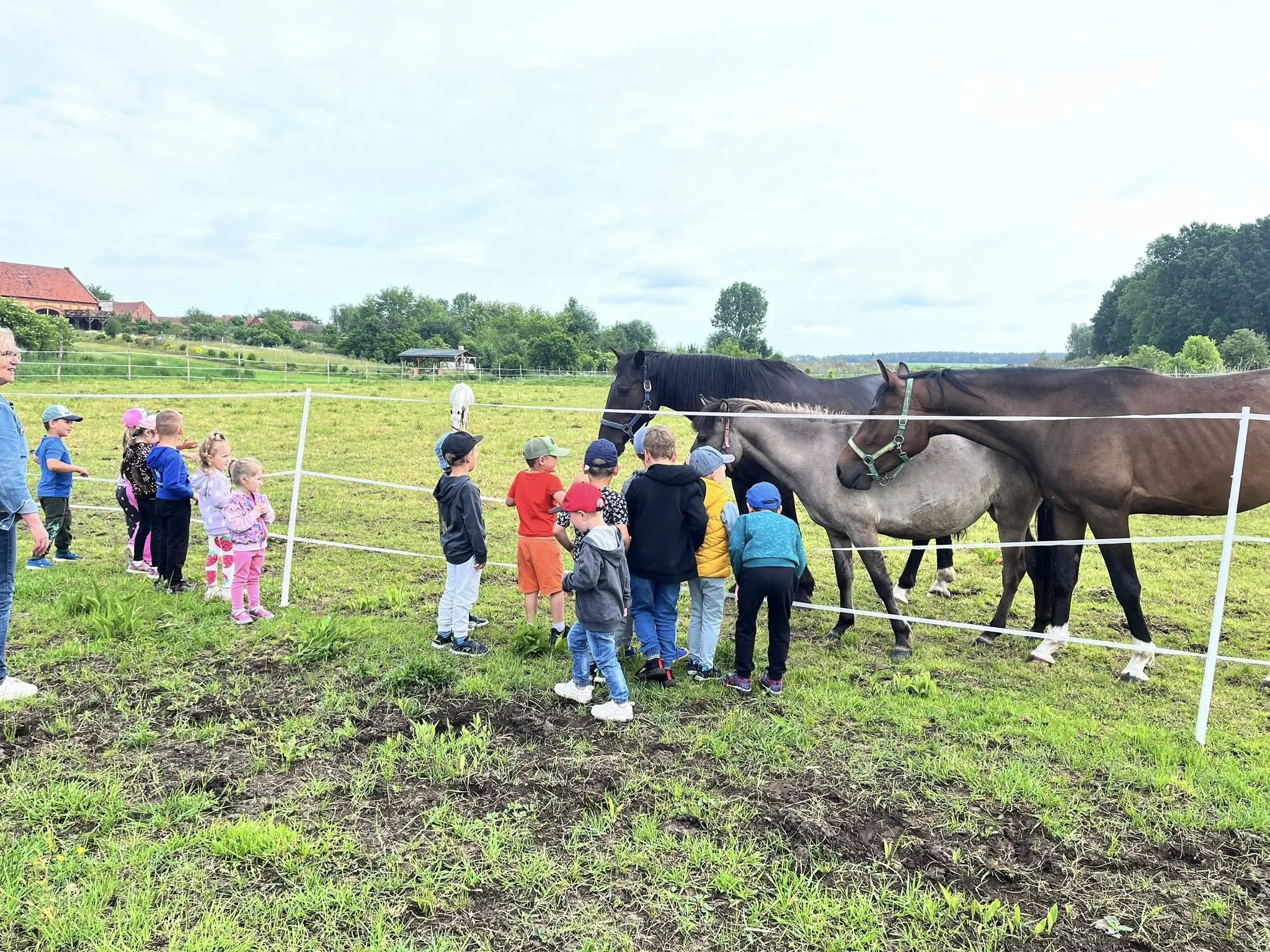Dzień Dziecka w stajni