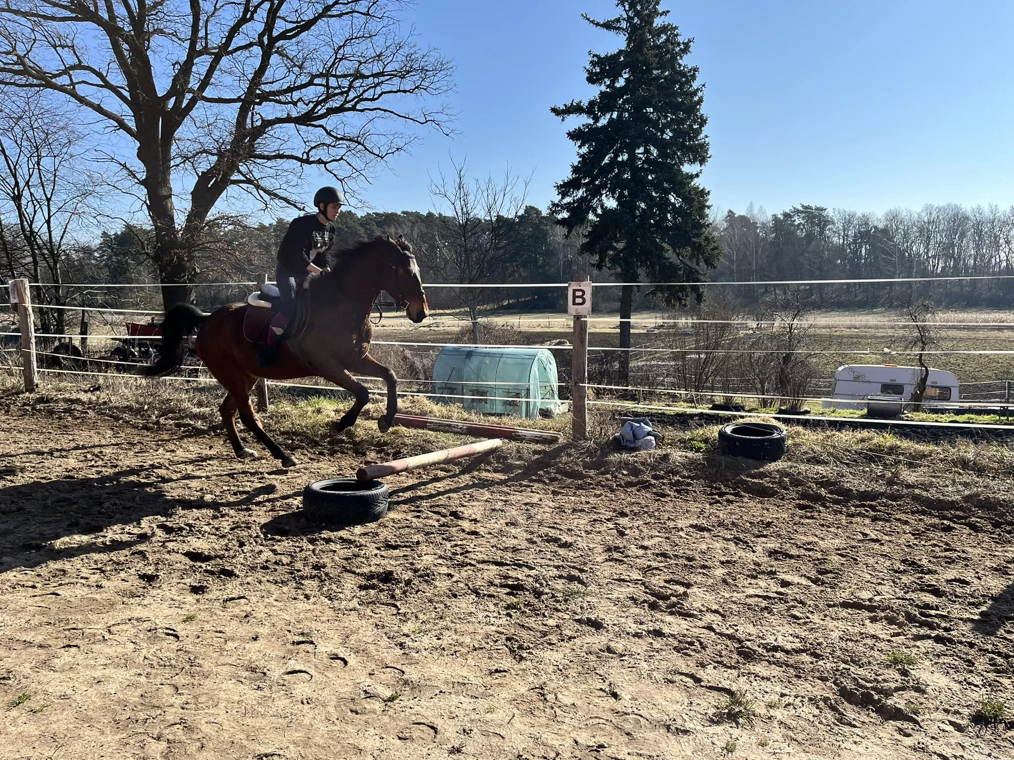 Pierwszy Dzień Wiosny w Stajni Decyma